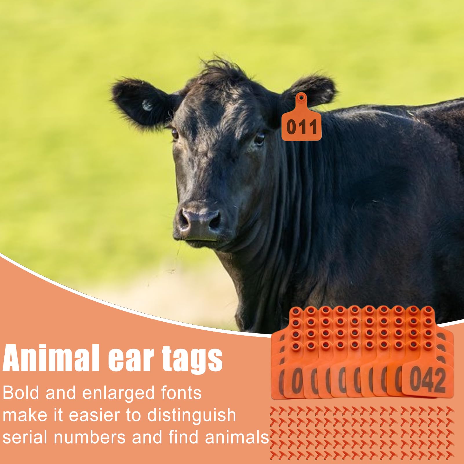 Boucles pour Oreilles de Bovins | Boucles d’Oreille Numérotées Pour Bétail | Numérotation 1-100 en Grasse, Fiche d'Identification et Traçabilité Animale pour Élevage