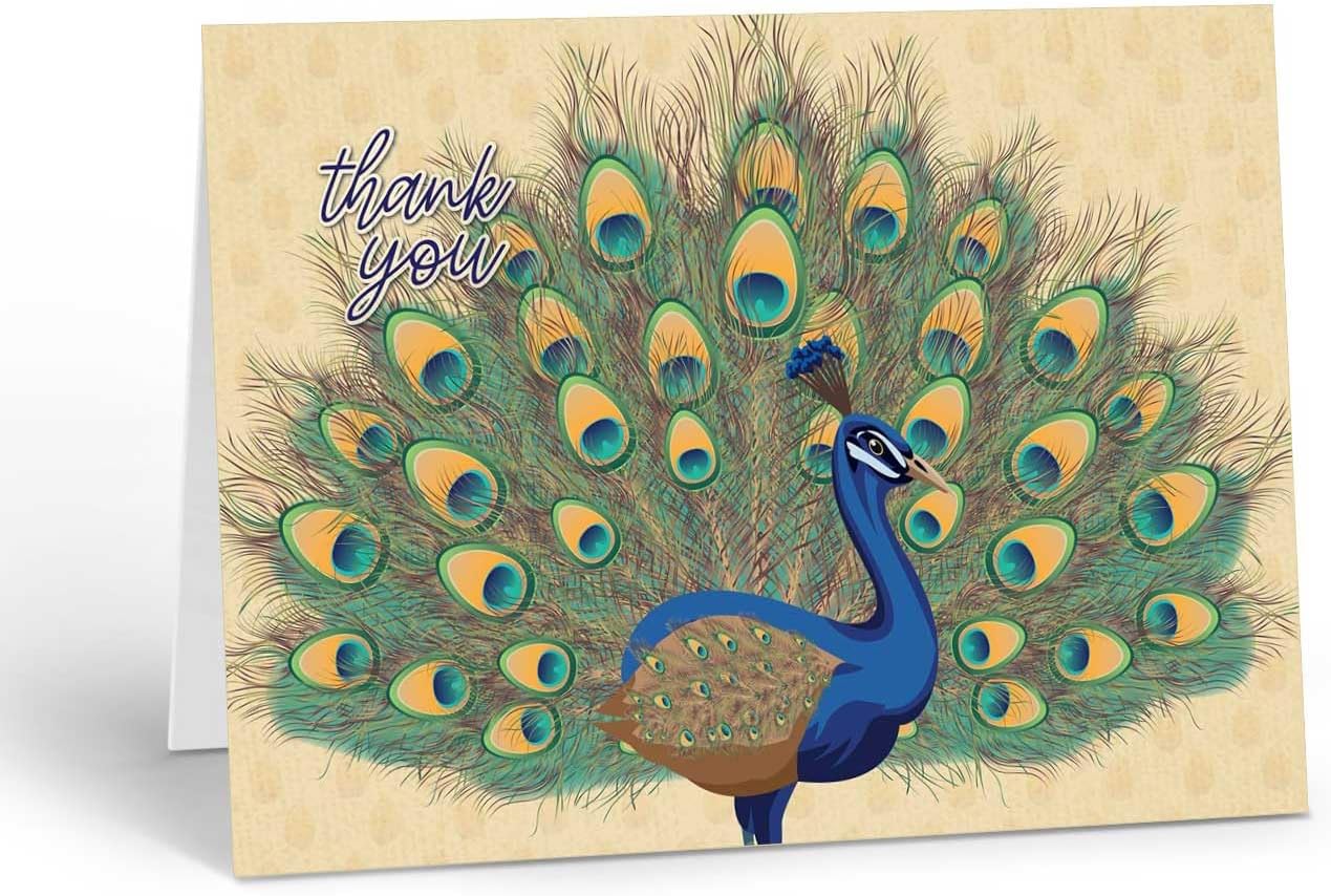 Stonehouse Collection Hummingbird Thank You Note Card, Blank Inside, Single Note Card with Envelope, Nature Inspired Stationery for Thank You, Appreciation & Everyday Correspondence (Hummingbird)