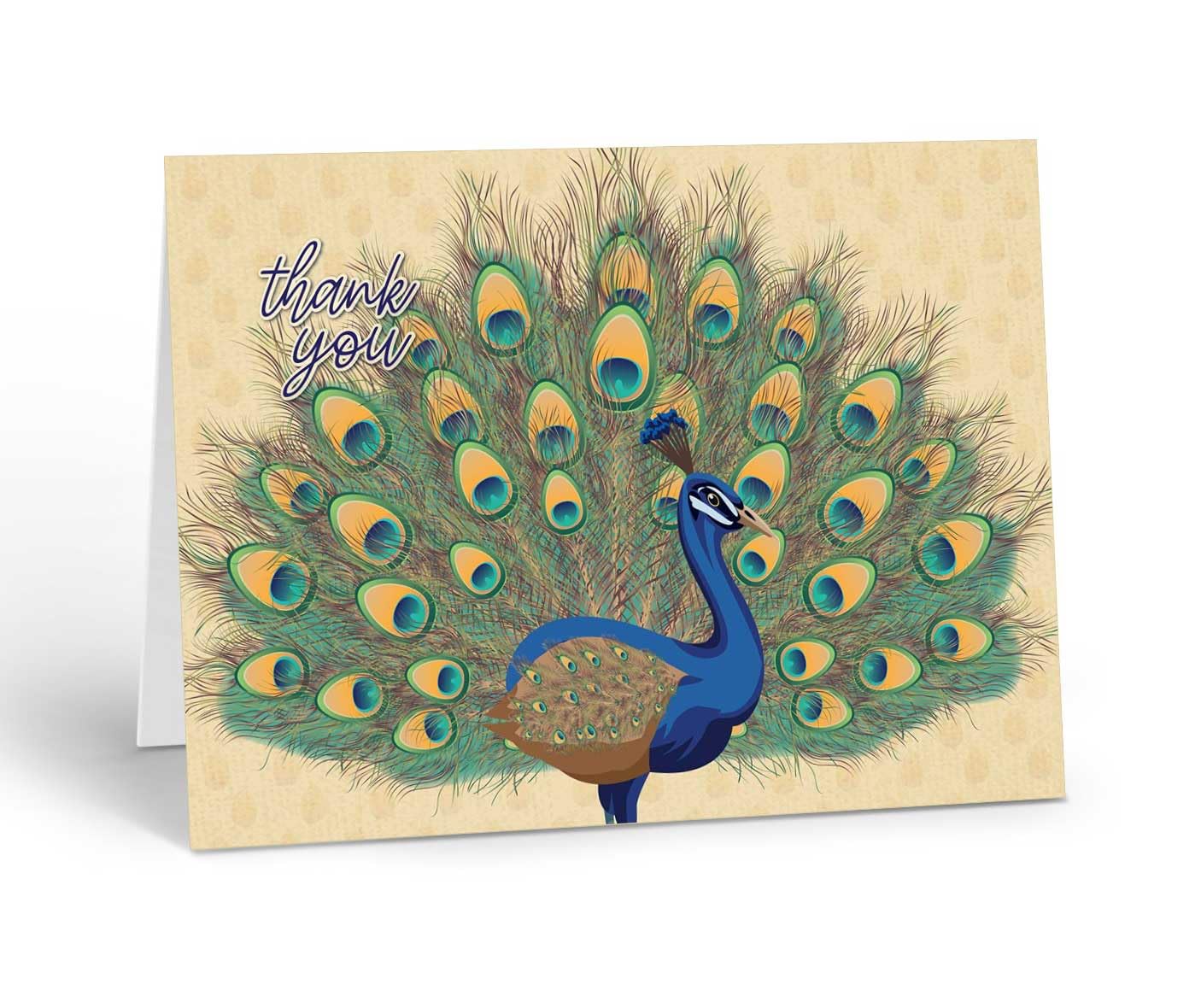 Stonehouse Collection Peacock Thank You Note Card, Beautiful Peacock Displaying Feathers, Blank Inside, Single Greeting Card with Envelope, Elegant Appreciation Card (Peacock)