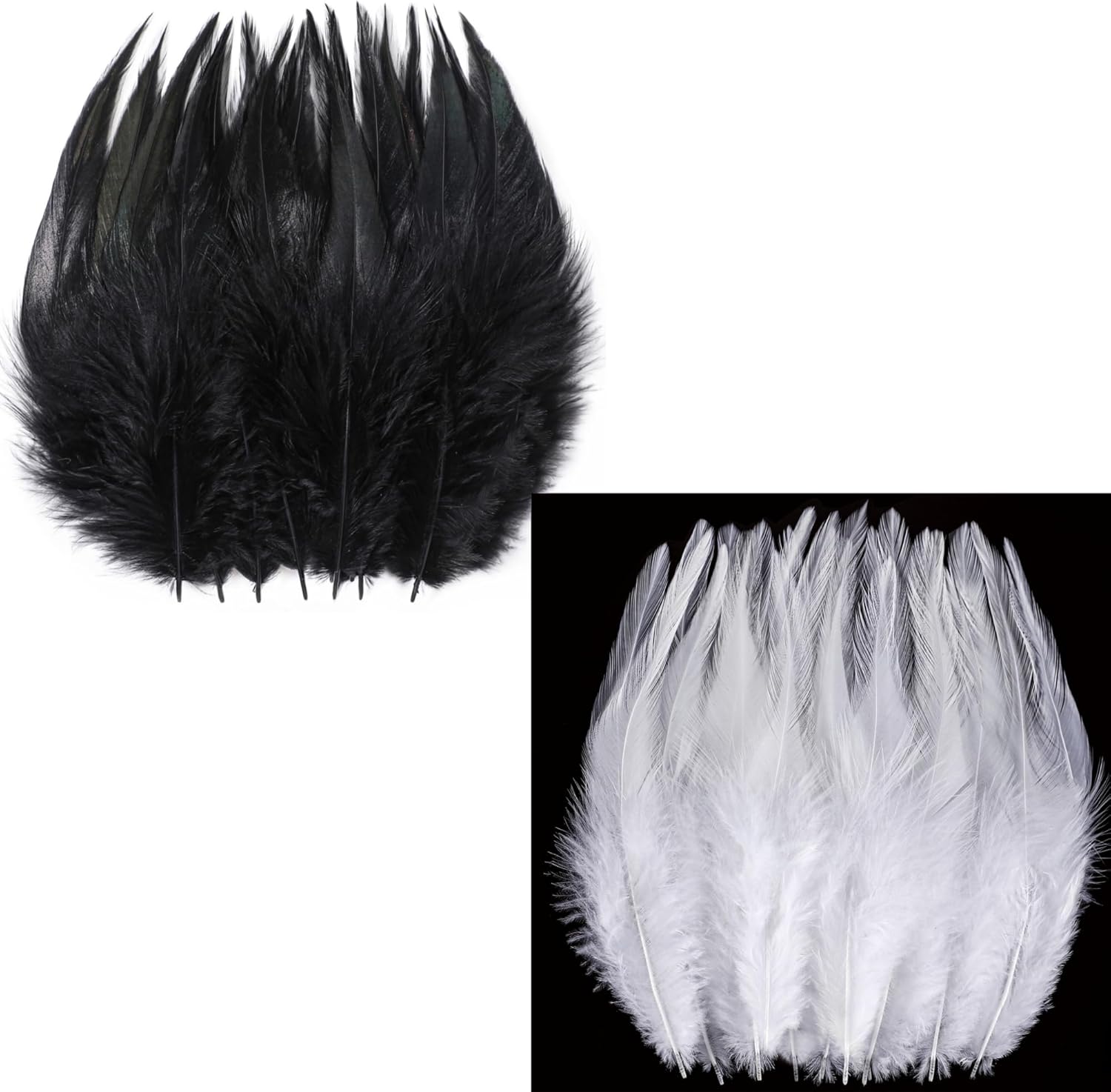 Holmgren 400pcs Black and White Feathers Bulk for DIY Crafts, Dream Catcher and Halloween Holiday Party Costume Decorations