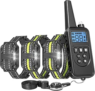 yard perimeter shock collar