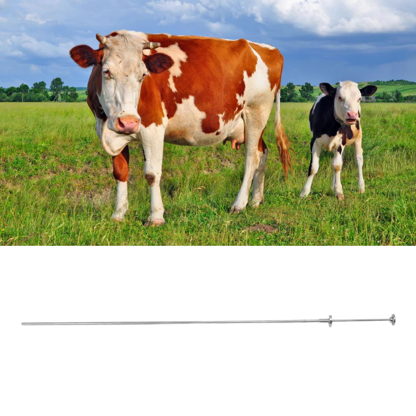 Topyond Besamungspistole Rinder, 304 Edelstahl, Werkzeug Zur Künstlichen Befruchtung Von Rindern Für Die Zucht, Ausziehbares Design, 467mm, Edelstahl Besamungspistole Kuh