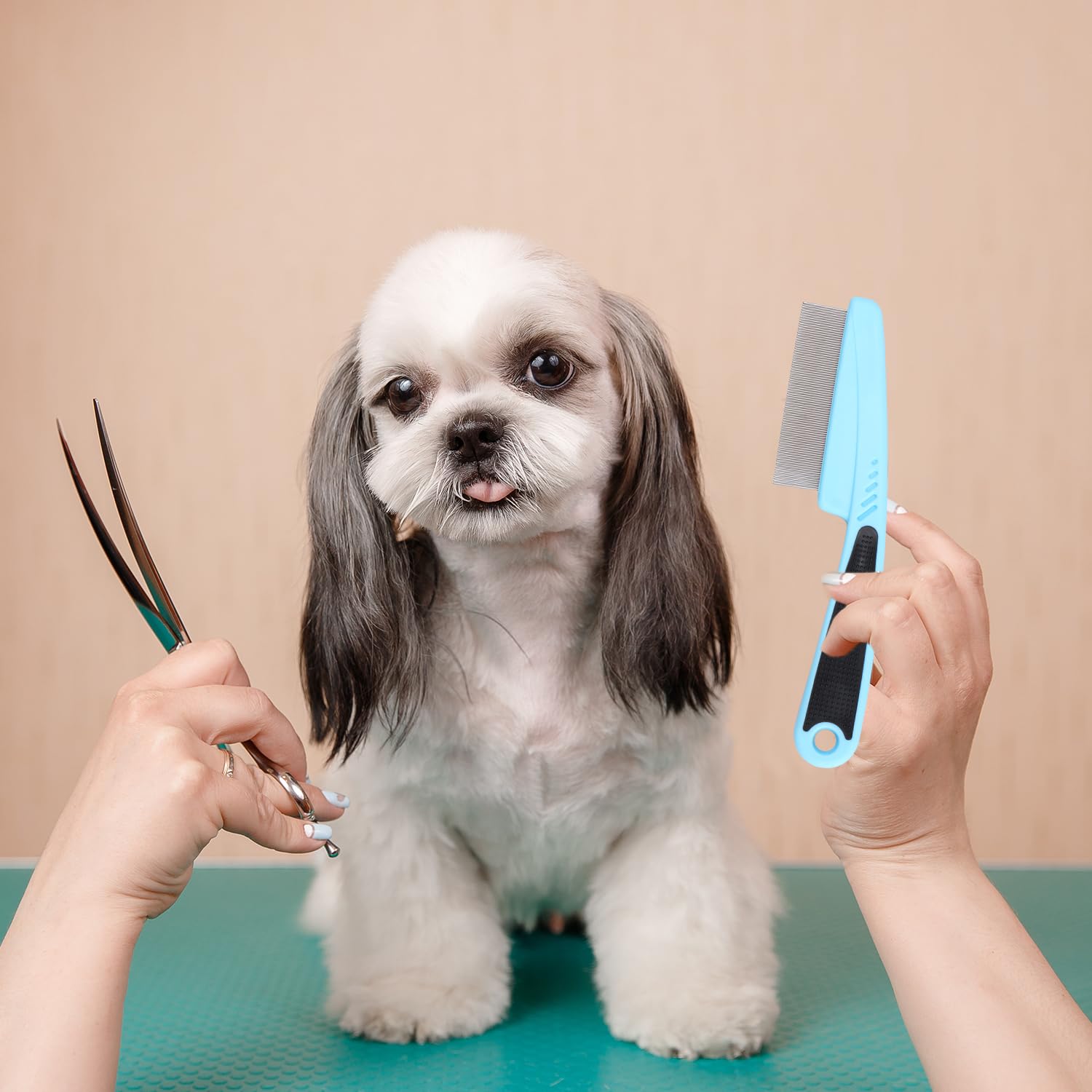 2 peines para perros y gatos, de dientes finos, para eliminar la caspa, las manchas de pelo, para mascotas pequeñas, medianas y grandes, para eliminar la corteza y la mucosidad