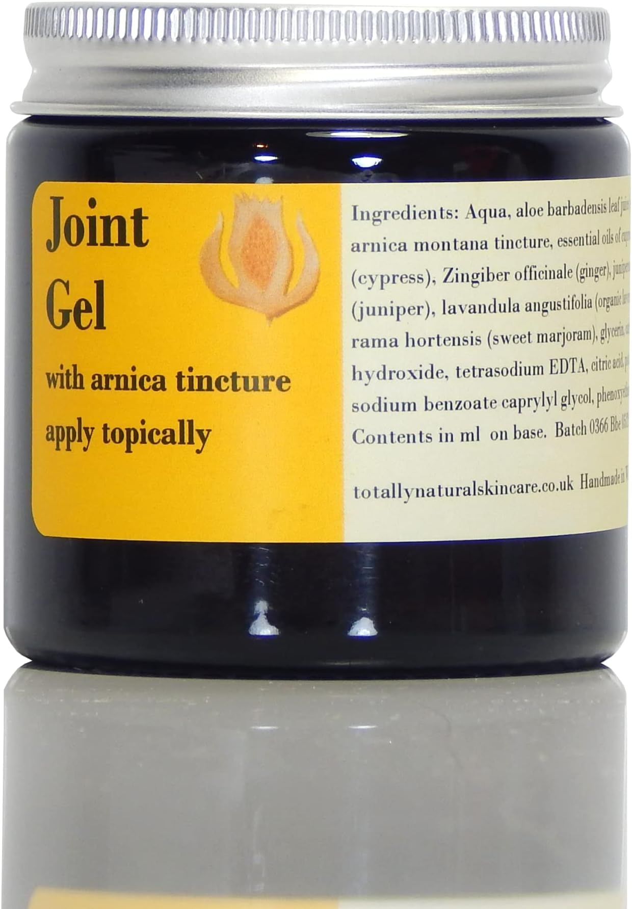 Joint Gel with Arnica, Aloe and Ginger (Large, 120ml)