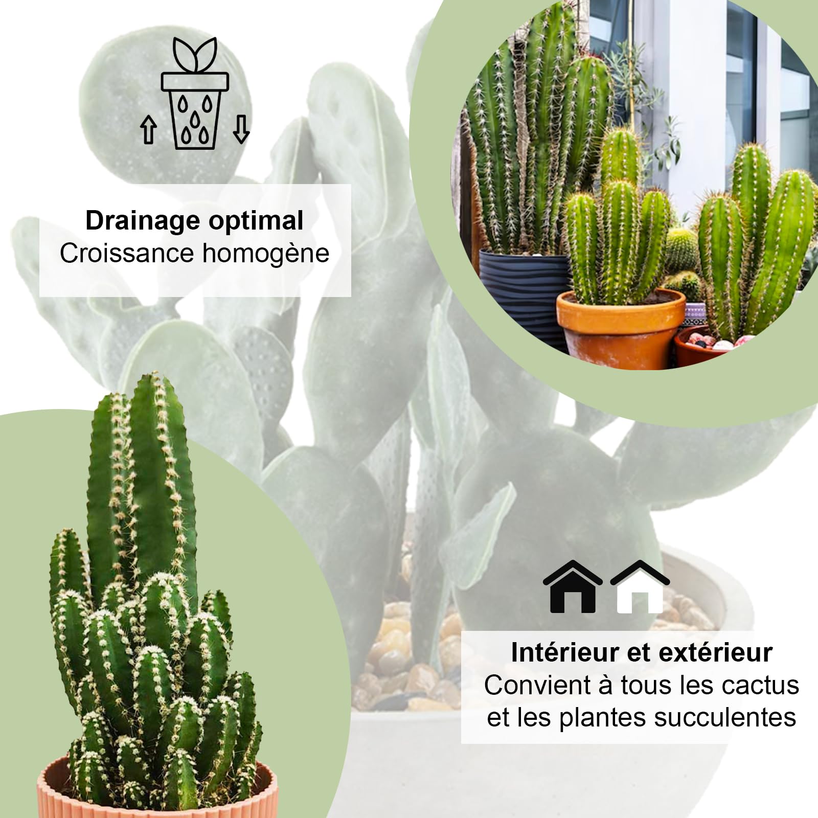 Kalapanta Terreau Cactus, Plantes Grasses, Succulentes et Cactées, 2L - 100% Naturel et Biologique, Parfait pour Les Plantes succulentes et Les Cactus d'intérieur et d'extérieur