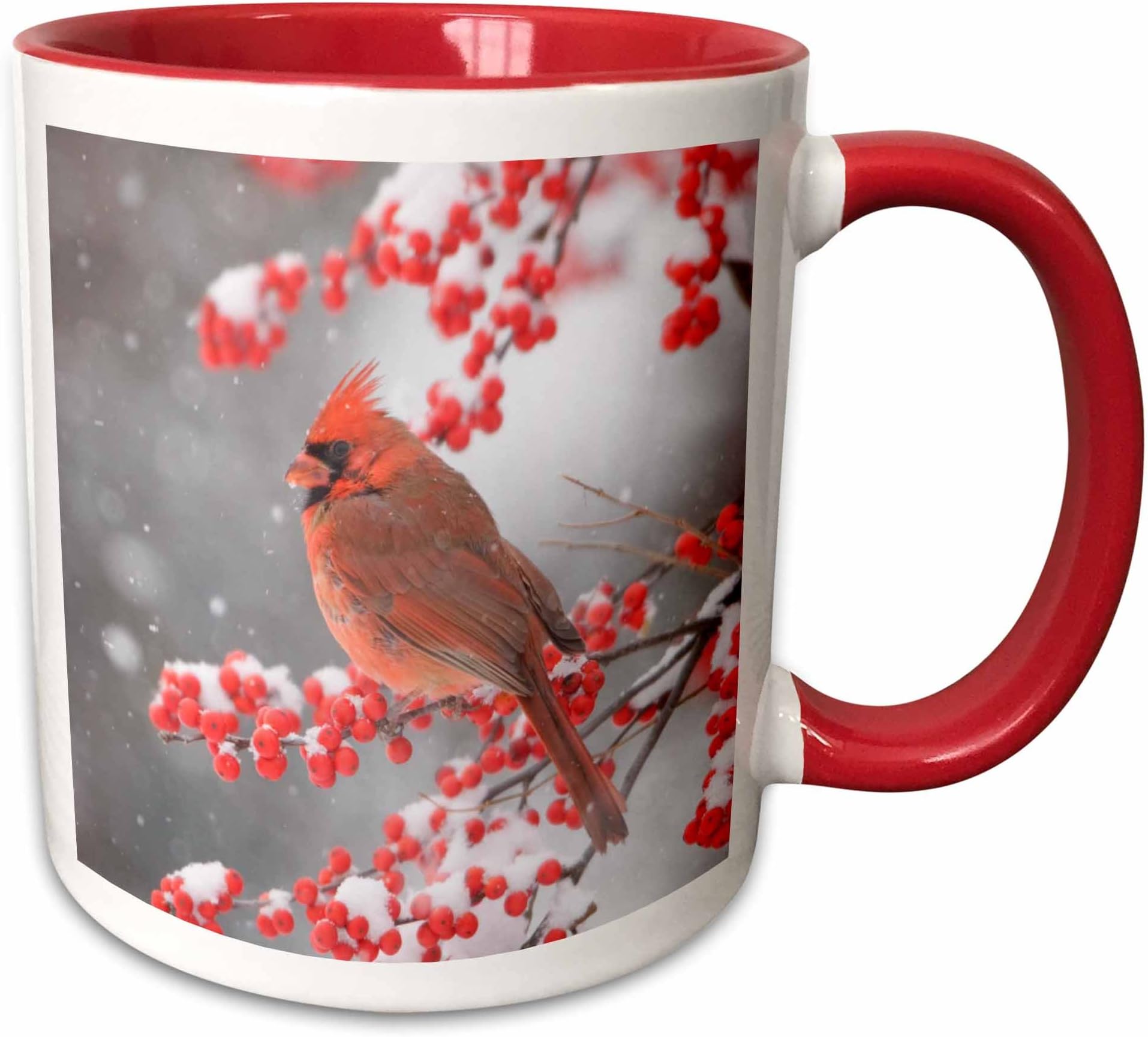 3dRose Danita Delimont - Birds - Northern Cardinal in Common Winterberry, Marion, Illinois, USA. - Mugs 11 oz Red mug_209809_5