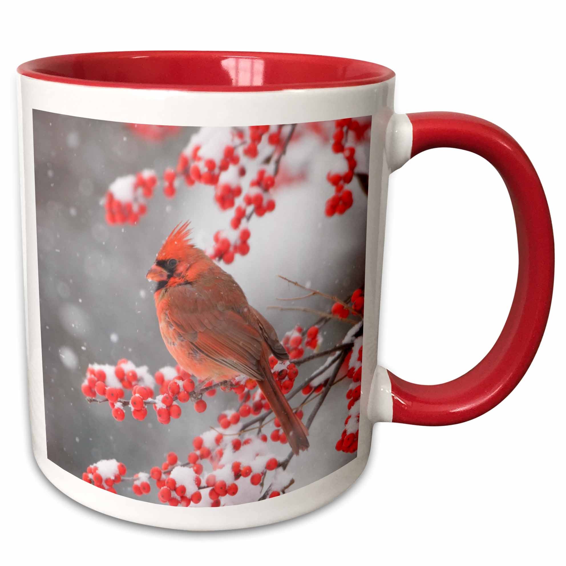 3dRose Danita Delimont - Birds - Northern Cardinal in Common Winterberry, Marion, Illinois, USA. - Mugs 11 oz Red mug_209809_5
