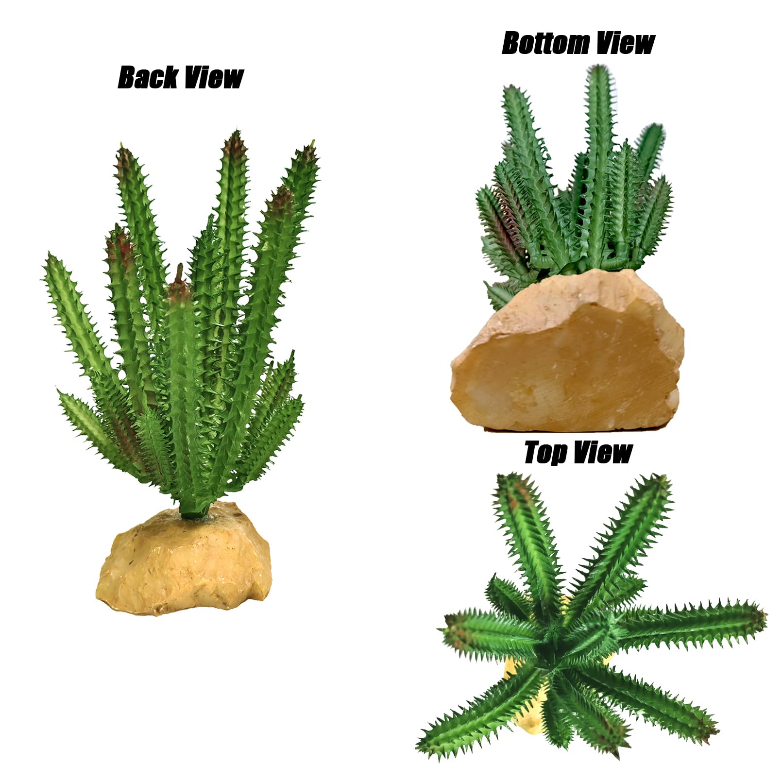 un rojo y naranja gecko con grande ojos 60150460 Foto de stock en Vecteezy, image size:1610x1610