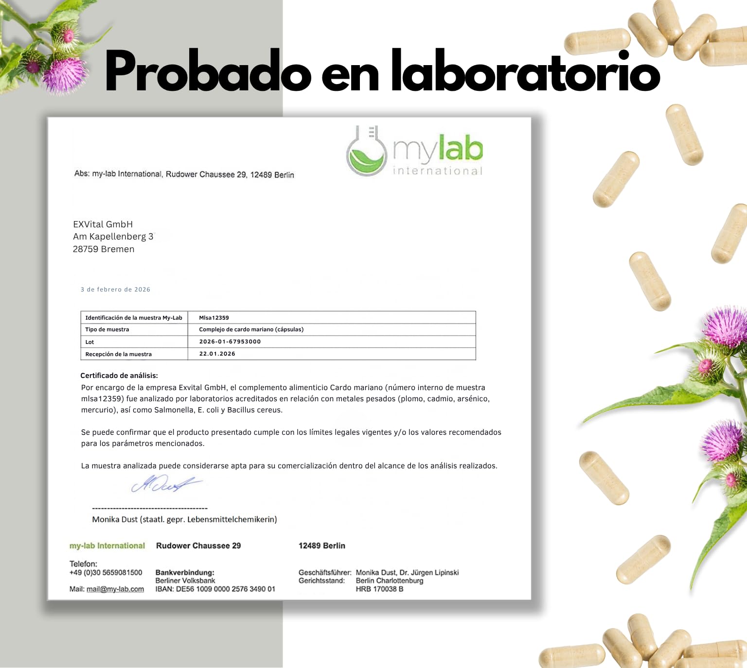 Complejo de cardo mariano con alcachofa y diente de león, 180 cápsulas, Alta concentración con un 80% de silimarina, 250 mg de extracto de cardo mariano por cápsula, apto para veganos y sin aditivos