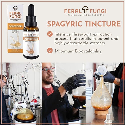 Miniatura 5 de Cordyceps (Cordyceps Militaris) 1 oz