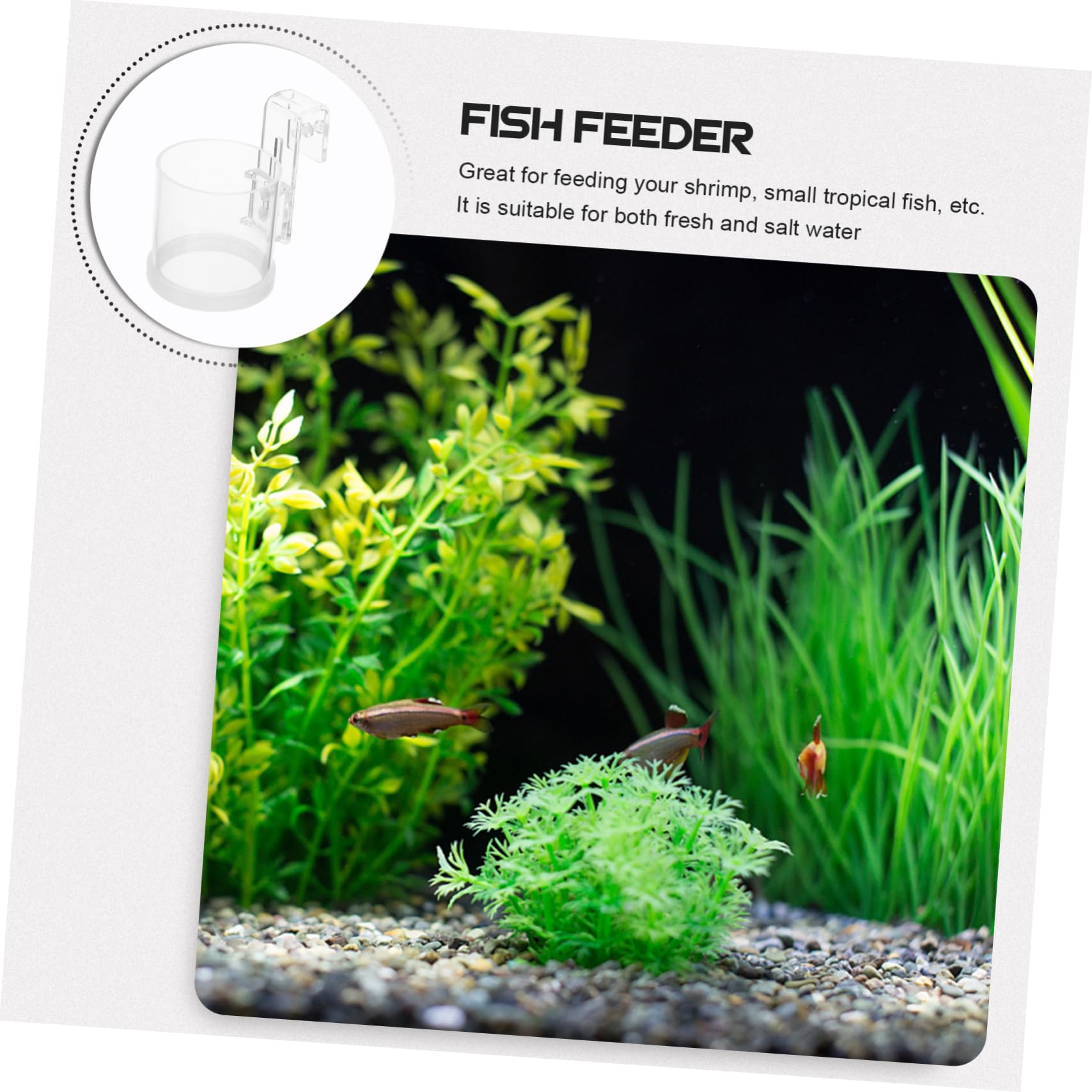 DOITOOL 4piezas Anillo Alimentación para Peces De Acuario Círculo Flotante De Acrílico para Alimentación De Peces para Comida De Plancton y Gestión De Acuarios