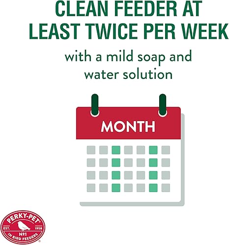 Miniatura 5 de Alimentador para colibrí Avant Garden en vidrio verde antiguo Beige