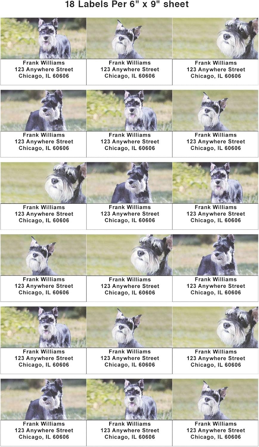Lovable Schnauzers Address Labels