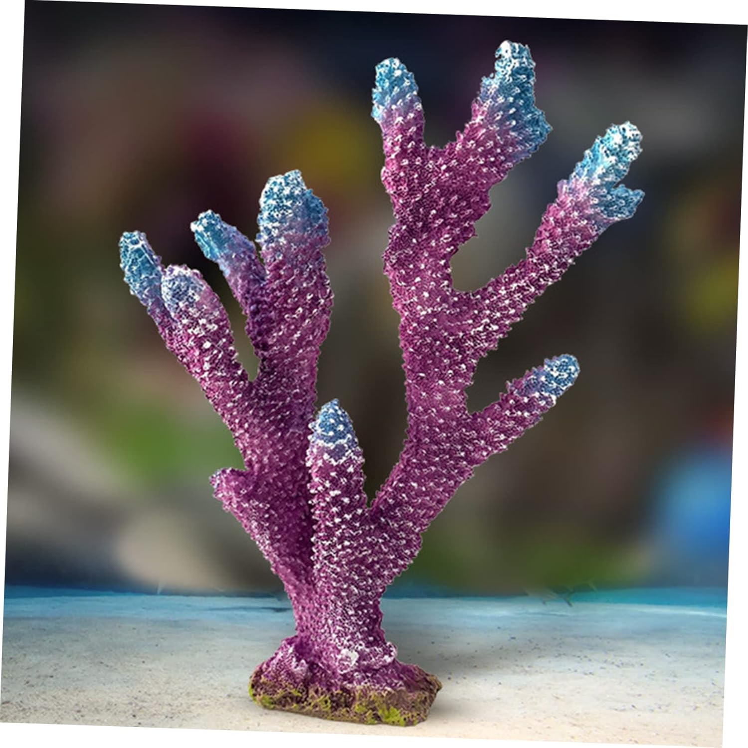 3pcs Aquarium Landscaping Coral Fish Tank Decor Aquarium Coral Landscape Aquarium Coral Decor Fish Tank Accessory Shrimp Feeding Dish Botanical Decor Accessori