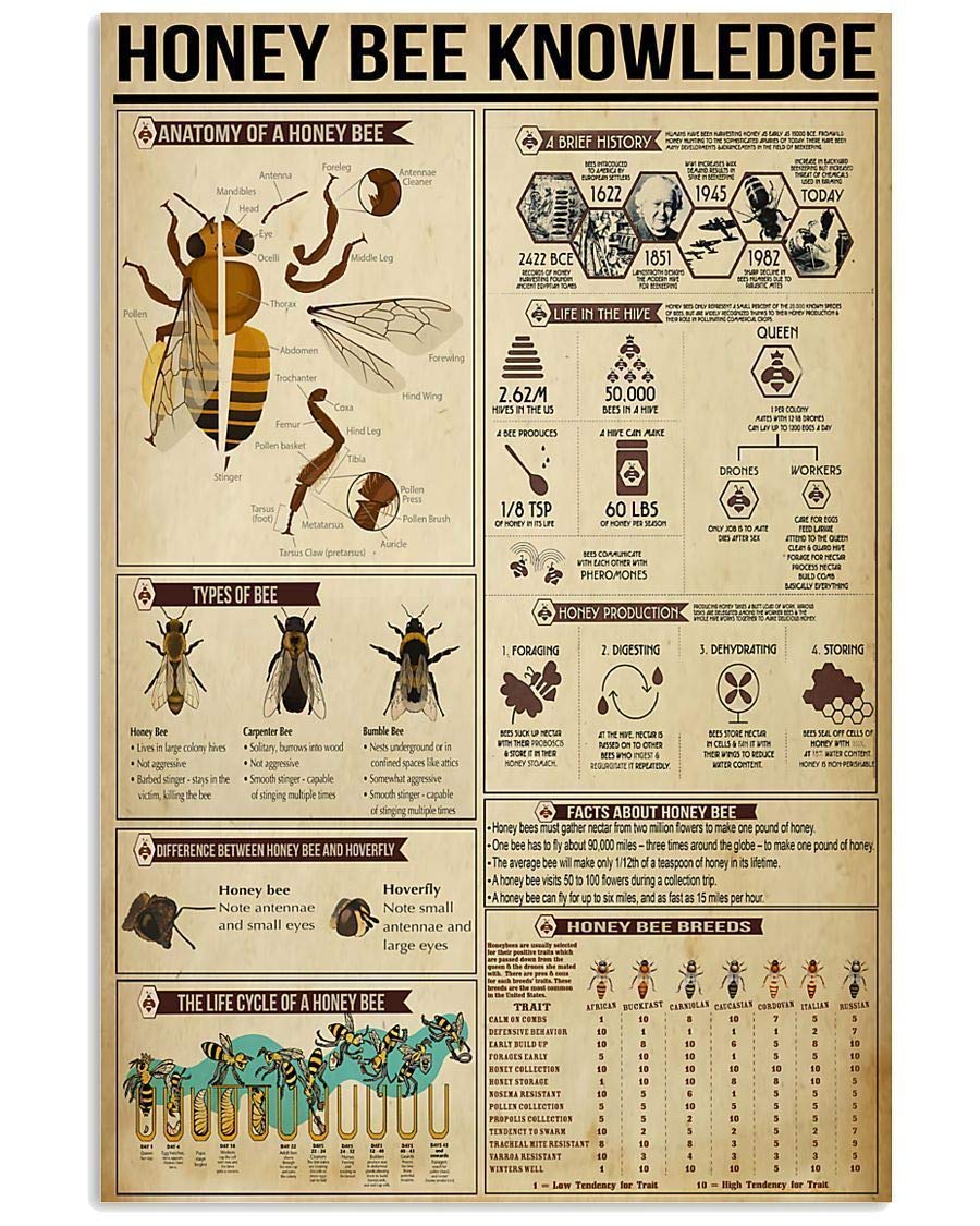 Honey Bee Knowledge Retro Metal Signs Vintage Aluminum Sign For Home Coffee Bar Wall Decor 8x12 Inch Tin Sign Wall Decor For Girls Bedroom