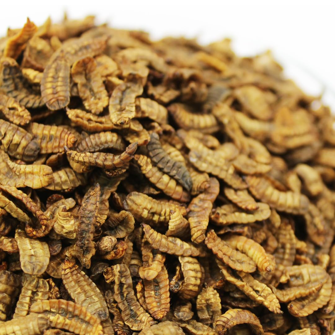 Hermetia Soldier Fly Larvae Dried - alimento para Peces Ornamentales, Peces de Estanque, Aves Ornamentales, Reptiles (10,0kg)