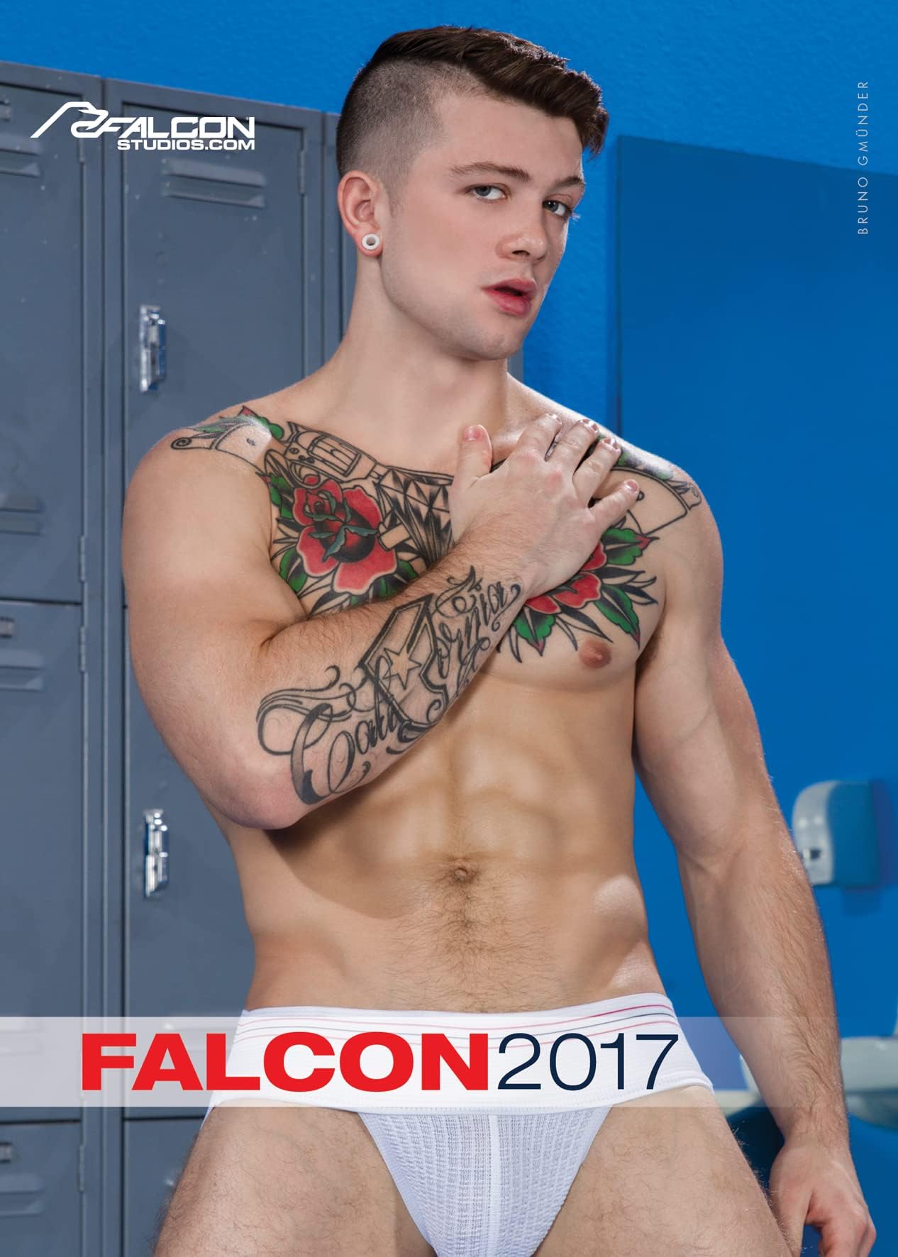 Falcon 2017