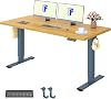 FLEXISPOT 160x80cm Electric Standing Desk Height Adjustable Desk Desktop Sit Stand Desk Stand Up Desk with Memory Smart Pannel