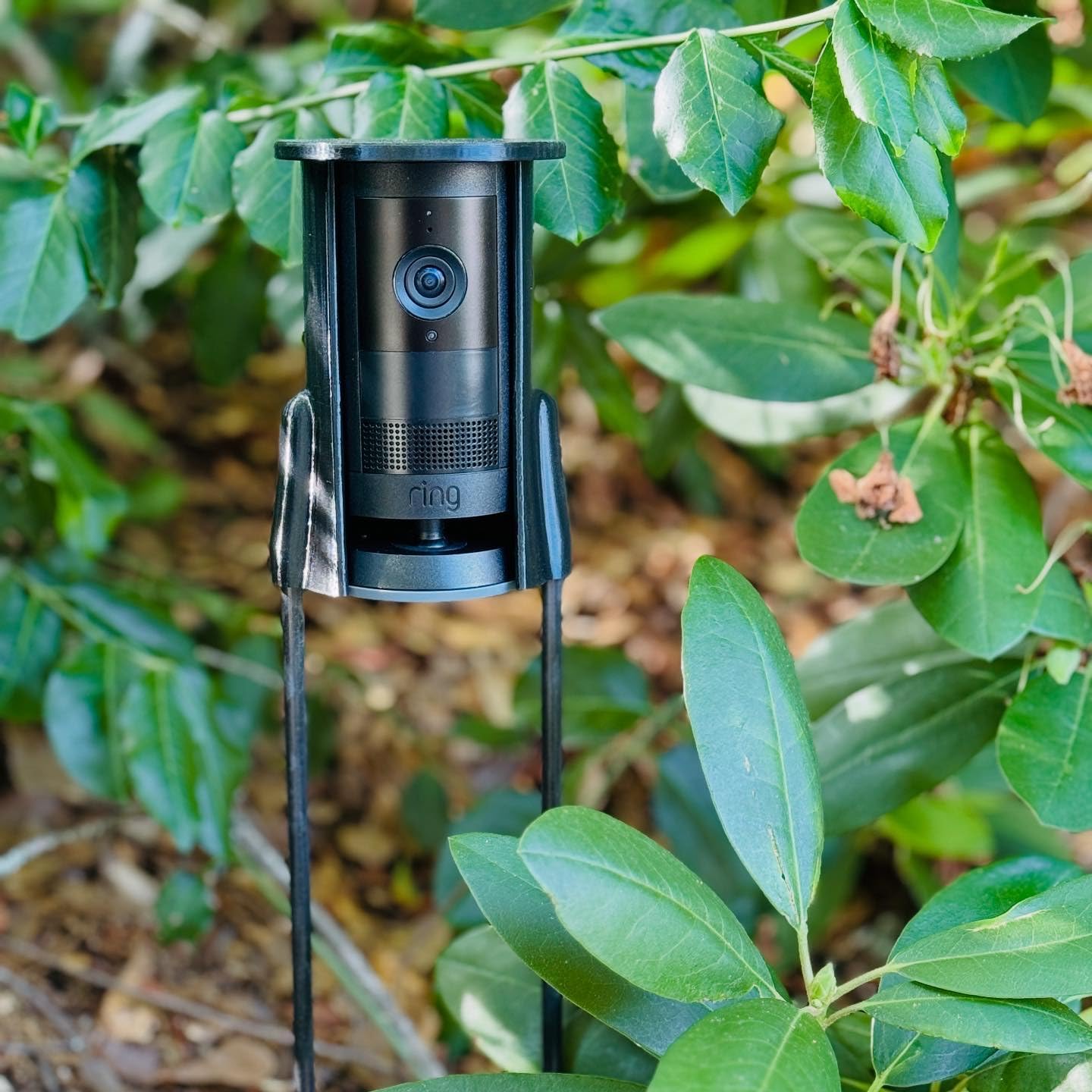 Amazon.com : Ring Outdoor Cam Plus Ground Mount // A Ground-staked ...