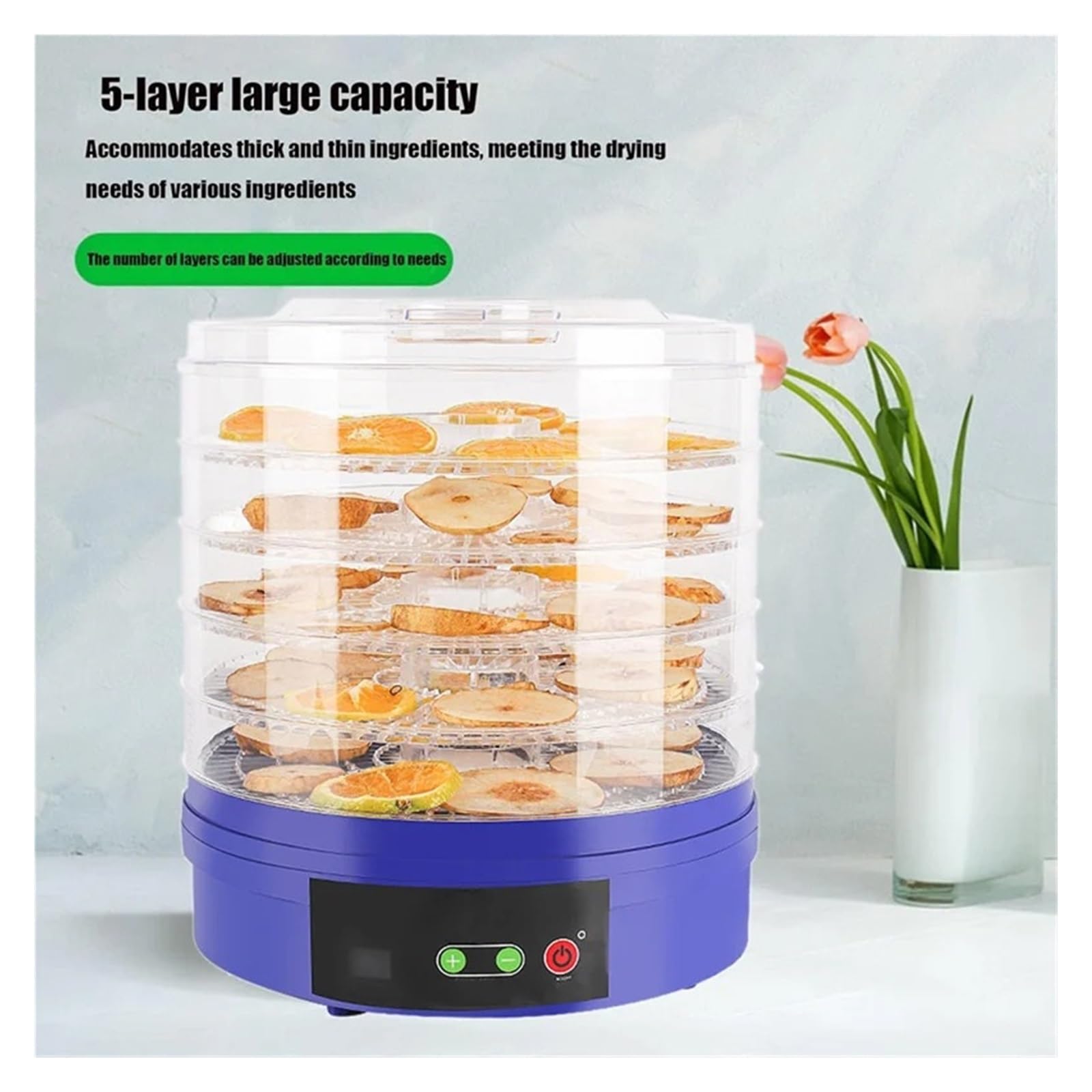 Disidratatore Alimentare 5 Vassoi 350W