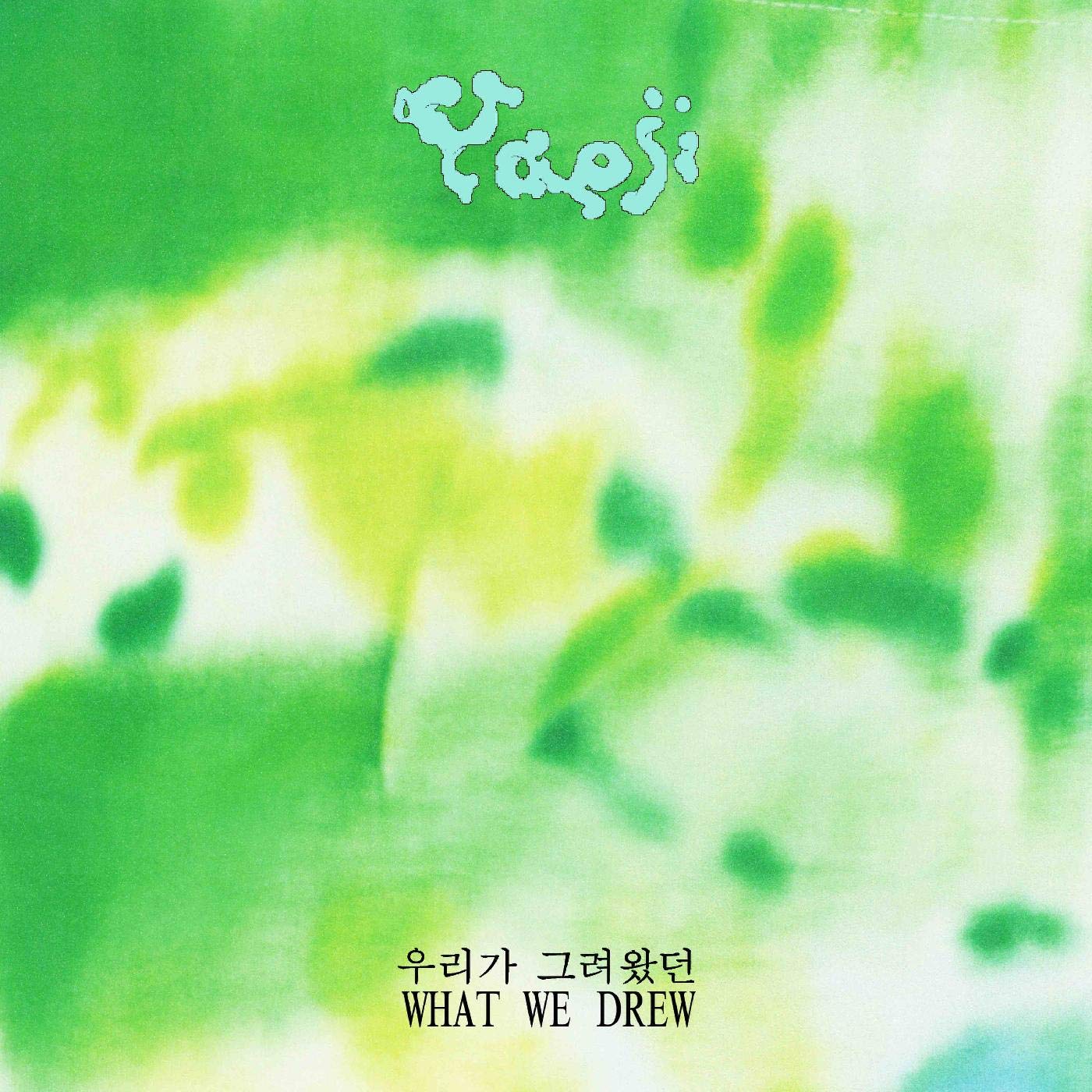 What We Drew [VINYL]