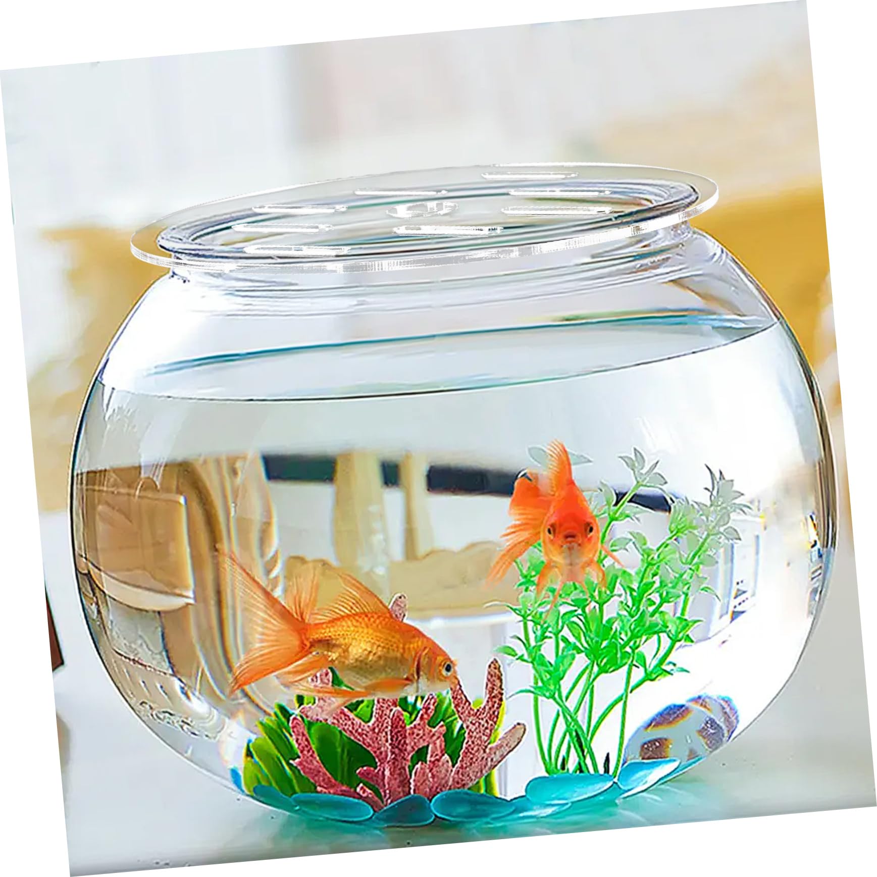Couvercle Acrylique Transparent Pour Aquarium Rond - 15 Cm De Diamètre - Anti-saut, Protection Poissons - 5