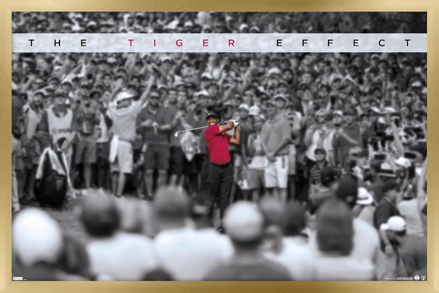 Trends International Tiger Woods - The Tiger Effect Wall Poster, 22.375" x 34", Black Framed Version