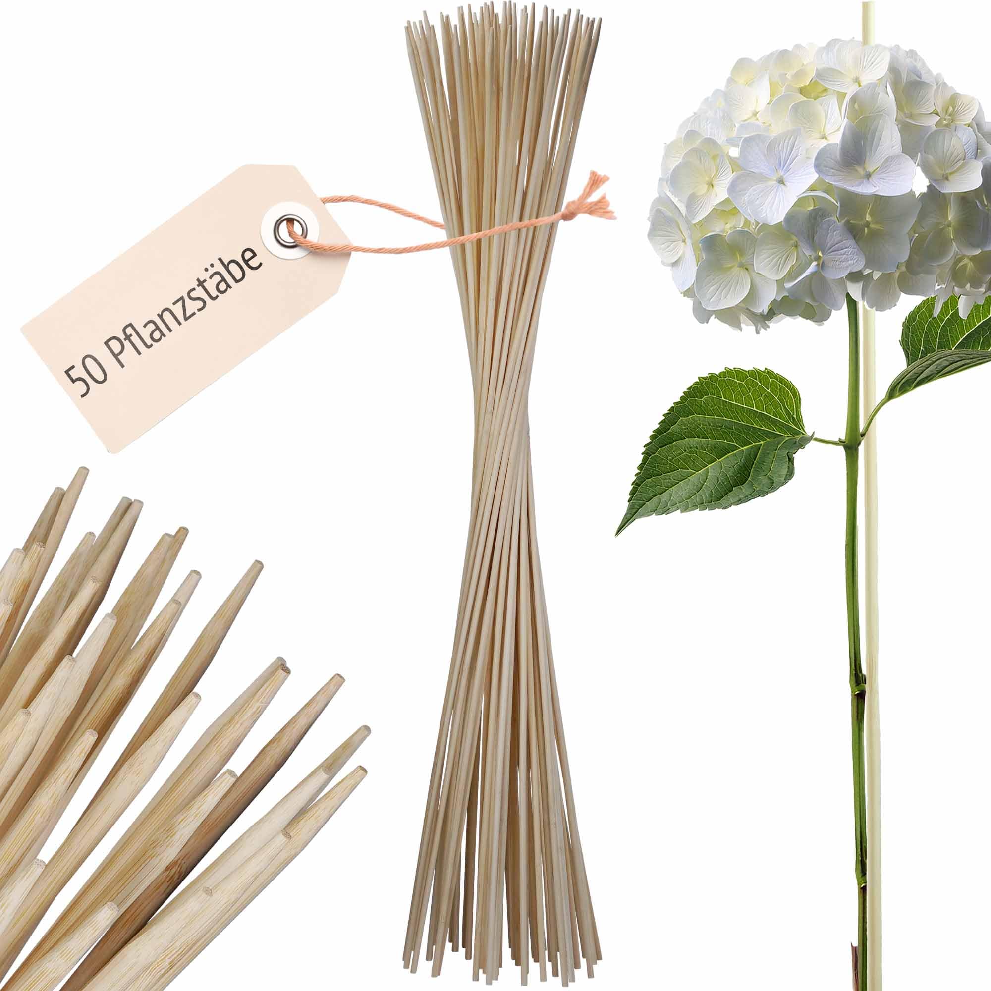 ORANGE DEAL 50 Pflanzstab Bambus - Rankstäbe Bambusstäbe für Zimmerpflanzen, Rankhilfe Garten, Pflanzstäbe, Pflanzenstab Rankstab Holz 90cm x 6mm Ø