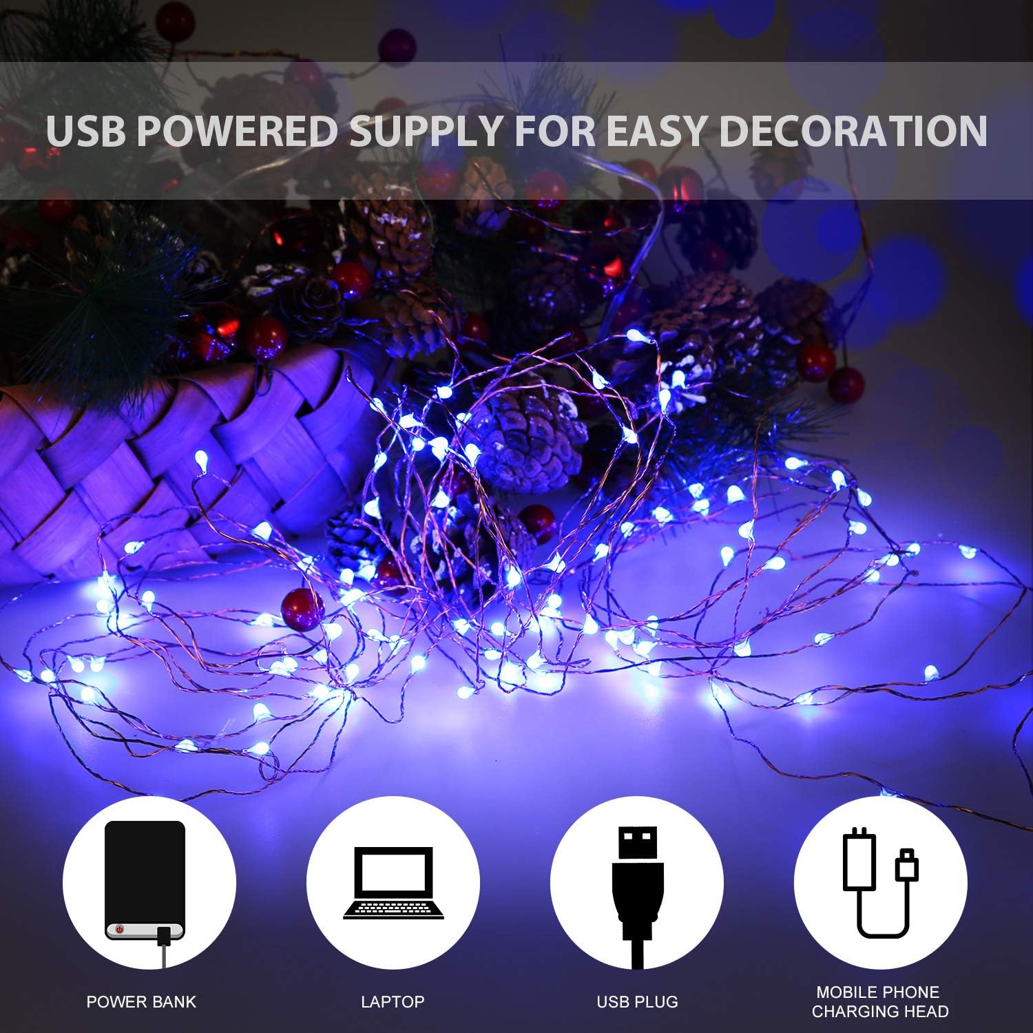 Ariceleo USB Powered Fairy Lights, 50 led 16 ft. USB Plug in Copper Wire USB String Lights for Bedroom Christmas Decoration Wedding Party Firefly Lights (Blue,1 Pack)