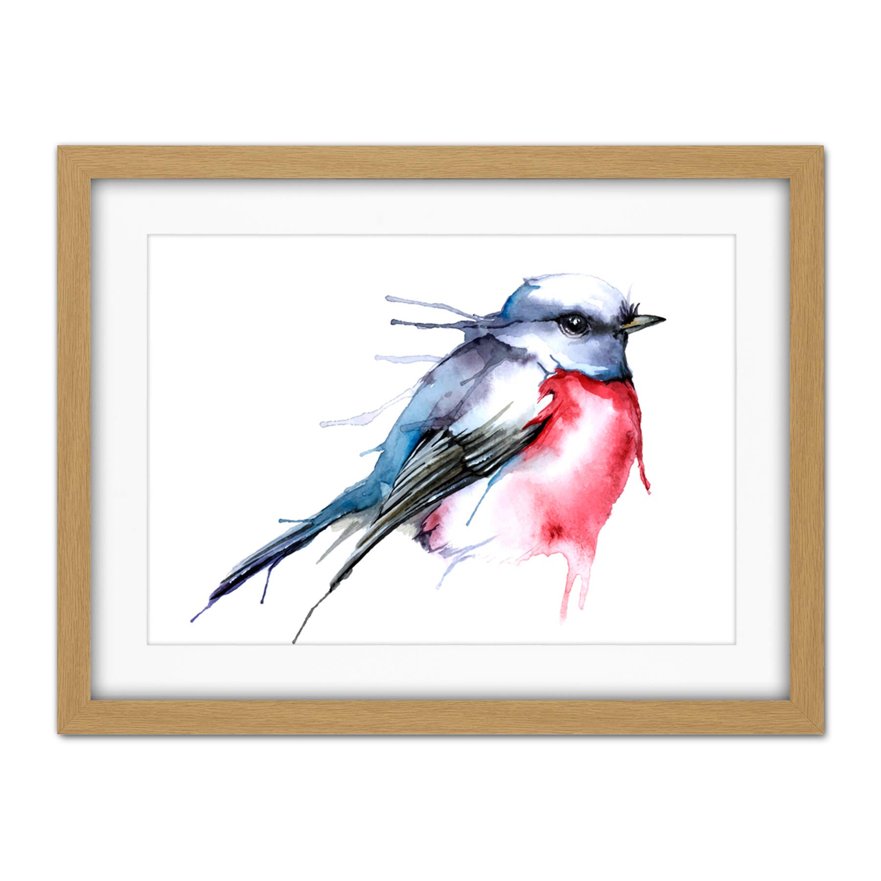 Wee Blue Coo Bird Robin Watercolour Artwork Framed Wall Art Print 18X24 Inch