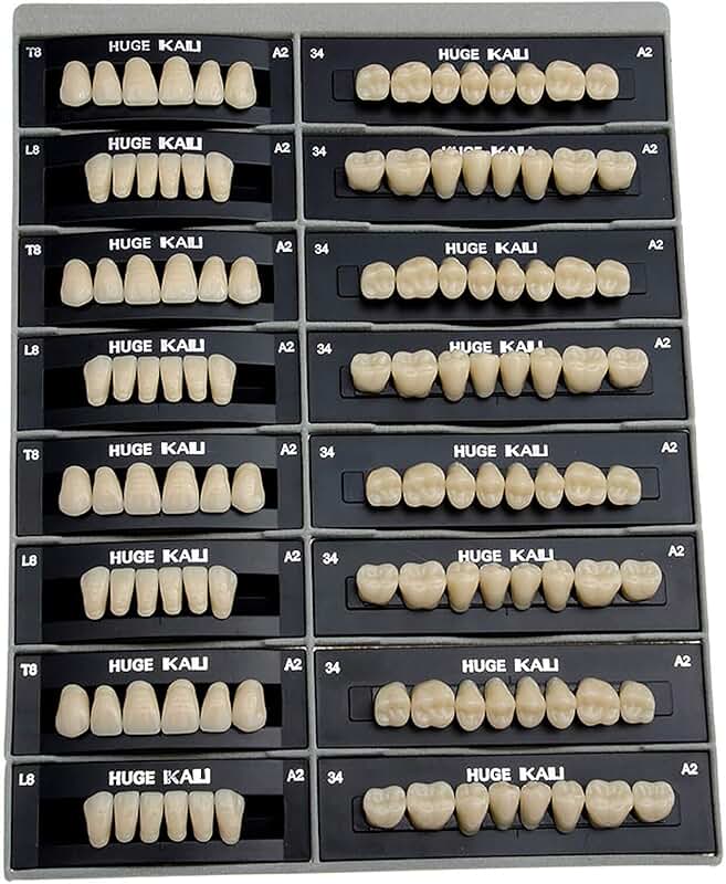 denture making kit with teeth