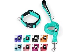 IVY&LANE Reflective Medium Dog Collar and Leash Set