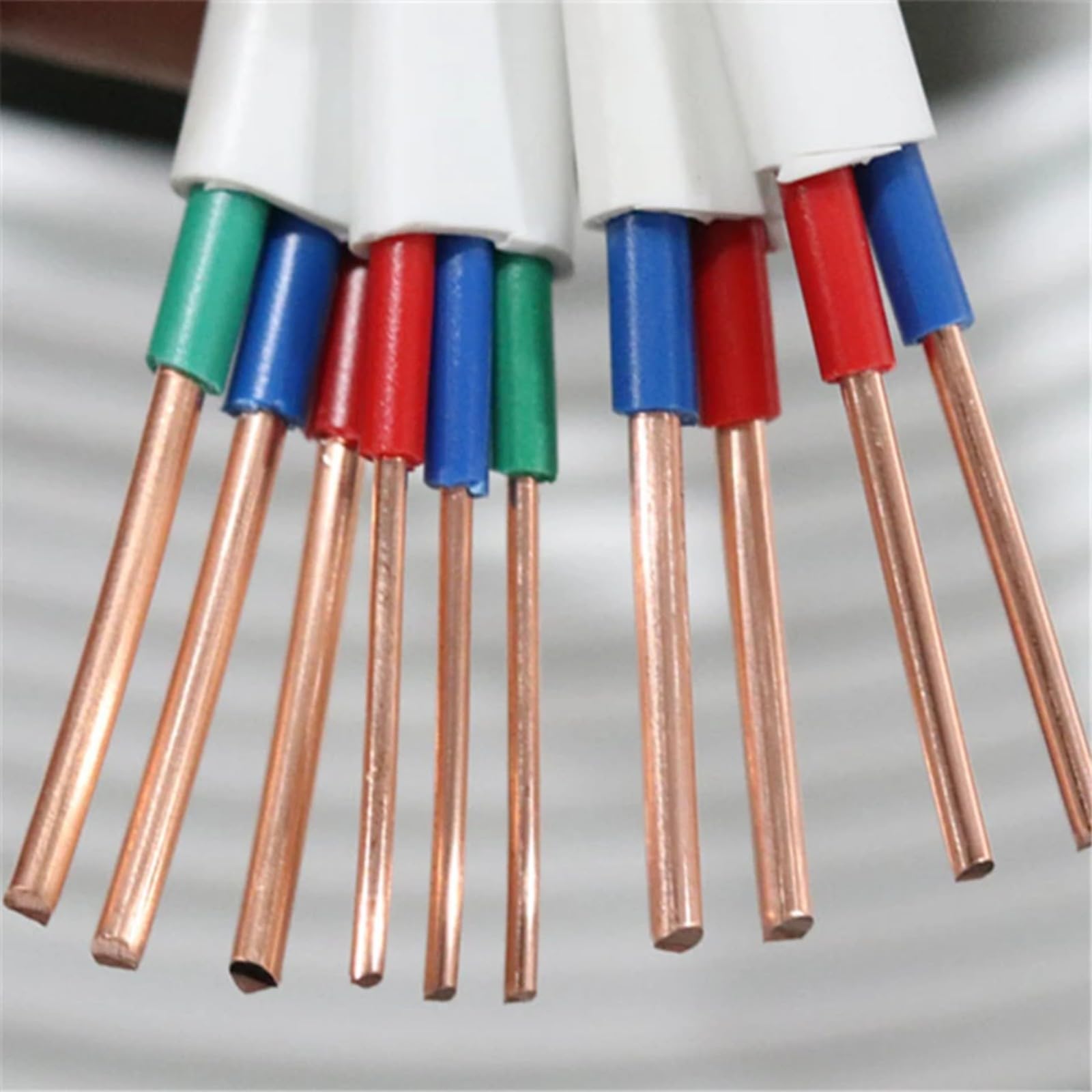 2 Cavi con gabbia di rame solido 3(-2C; 10m; 16 AWG)