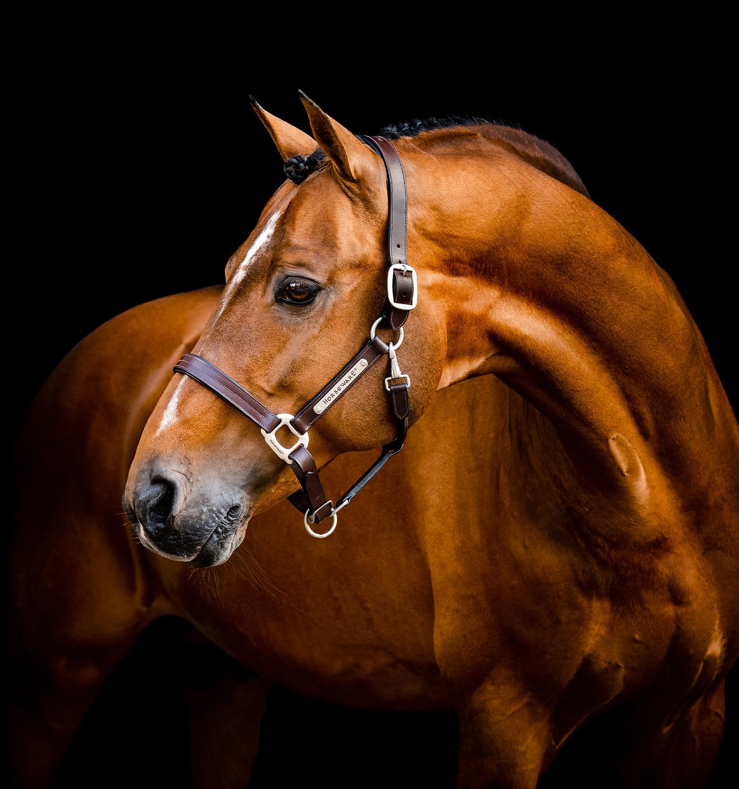 Horseware® Signature Lederhalfter