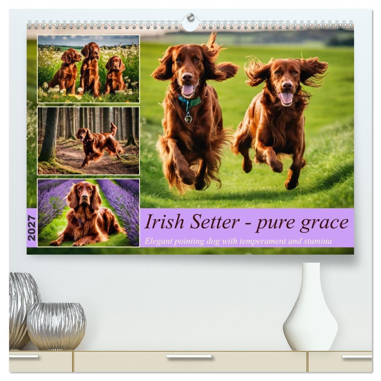 Irish Setter - pure grace (High Quality Premium Wall Calendar 2027 DIN A2 landscape),CALVENDO 12 Month Wall Calendar: Elegant pointing dog with temperament and stamina
