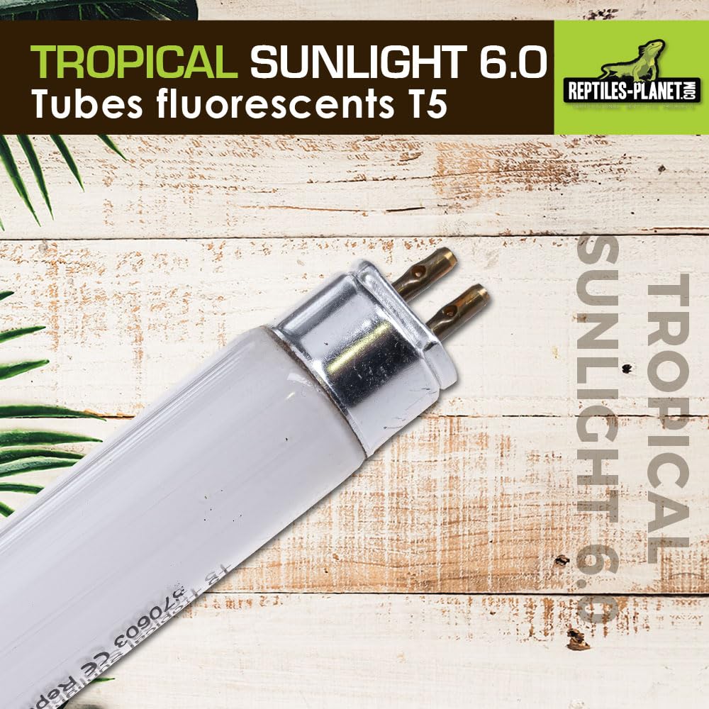 Reptiles Planet T5 UVB 6.0 Tropical Sunlight oświetlenie dla gadów/amfibii, 8 W, długość 29 cm, średnica 16 mm
