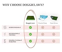 Vista 4 de DoggieLawn Almohadillas de Hierba Real para Orinar Cachorros - 24 x 20 Pulgadas - Caja de Arena Interior Perfecta para Perros - Sin Desorden, Fácil