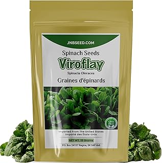 Viroflay Spinach Seeds (Approx. 1200 Seeds-15 Grams) Grow Nutritious Spinach