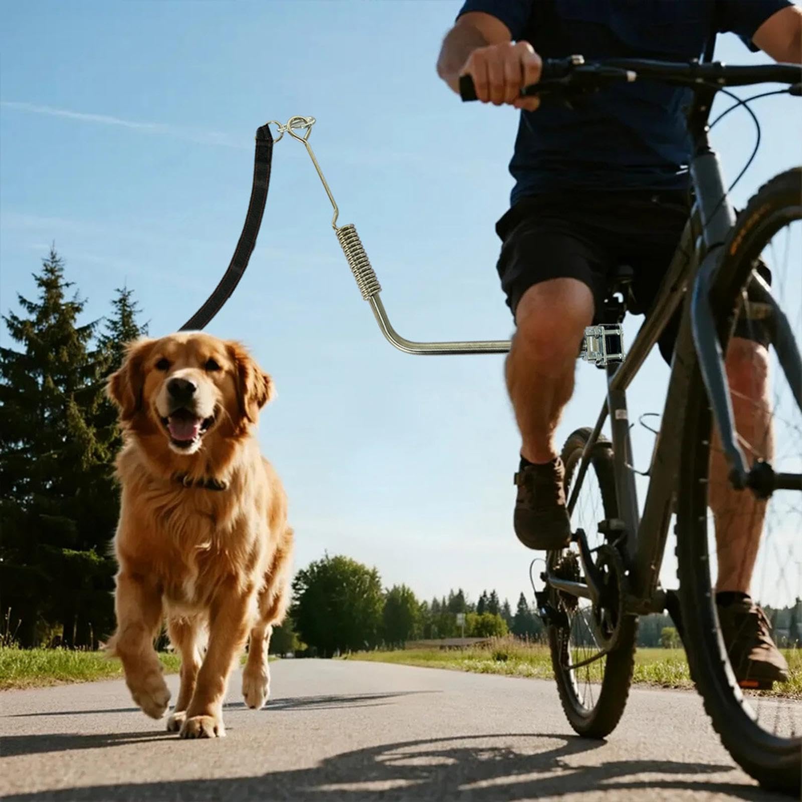 Dogs Bike Leash Retráctil para Bicicleta Correa de Caminata Accesorio Desmontable de Acero Inoxidable Adecuado para Ejercicio Ciclismo Y