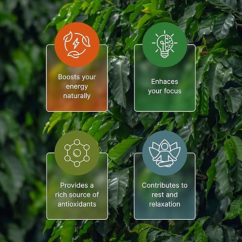 Miniatura 2 de NooKoo - Té orgánico de hojas sueltas de guayusa de 16 onzas, energía limpia y enfoque, 60 mg de cafeína natural, impulso suave y sin nerviosismo,