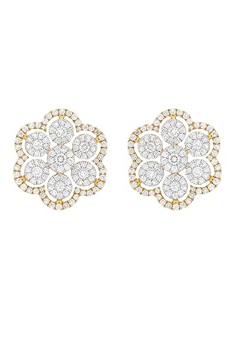 18KT (750) Diamond Earring for Women-dlkeg18055811