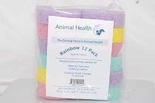 Rainbow-Colored Small Tack Sponges, 12 Pack