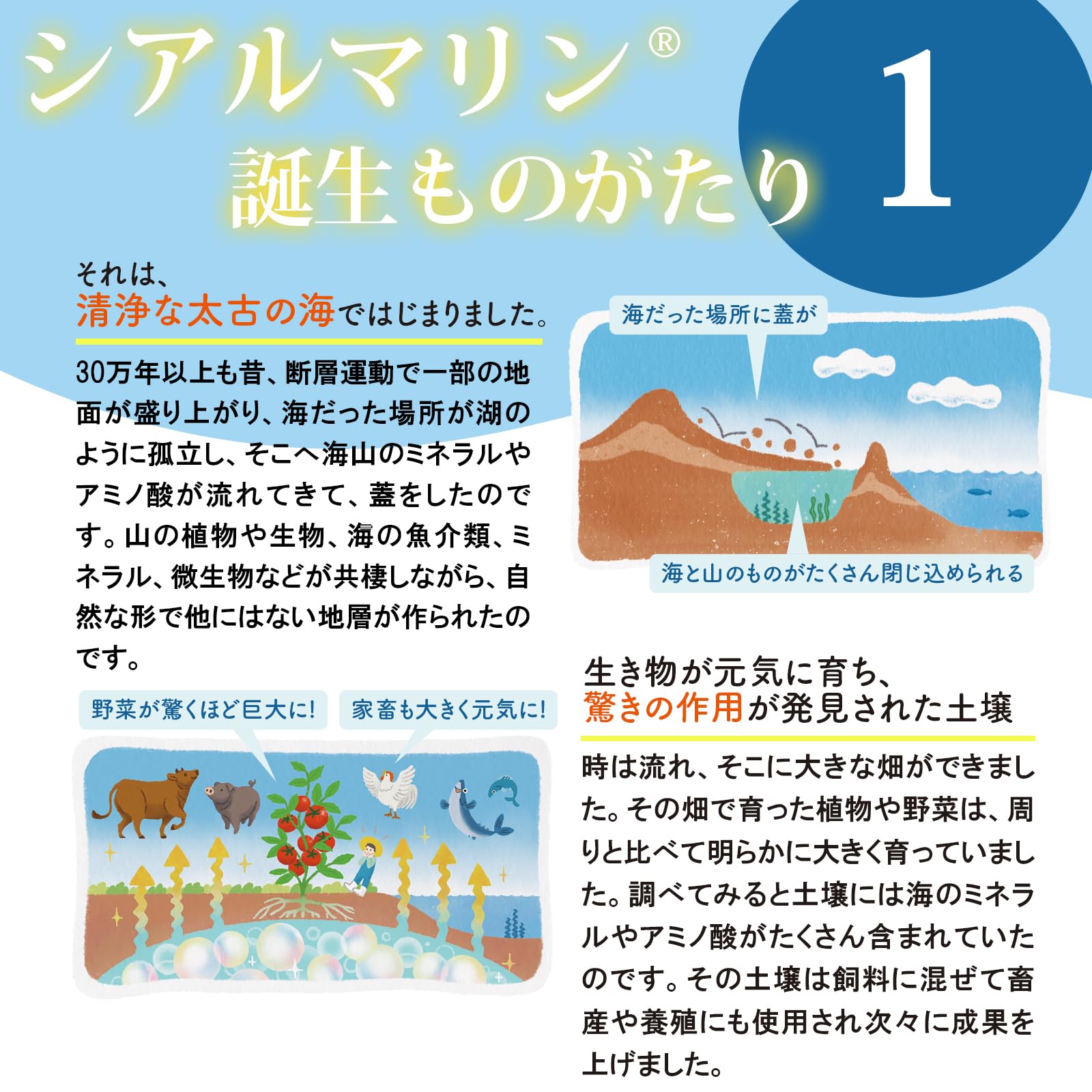 Amazon | 犬用 猫用【皮膚 抜け毛】獣医師推奨メディカルワン
