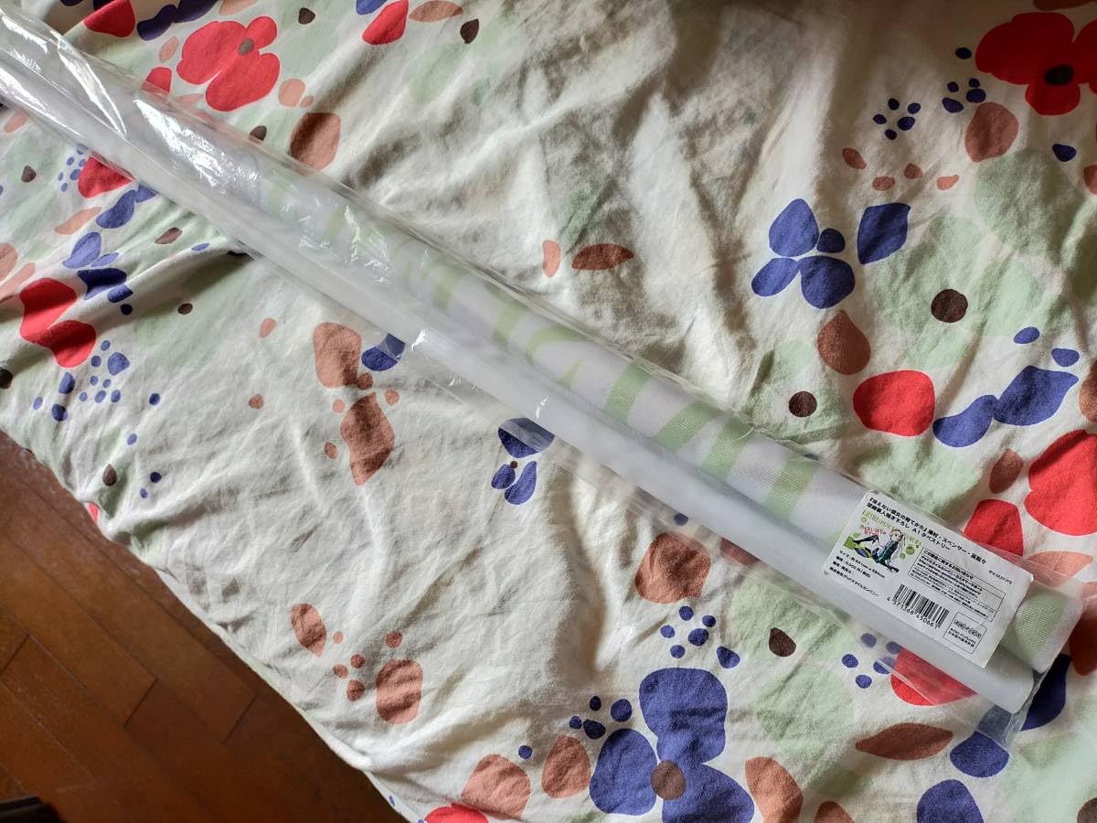 Amazon.co.jp: C87 冴えない彼女の育てかた 澤村スペンサー英