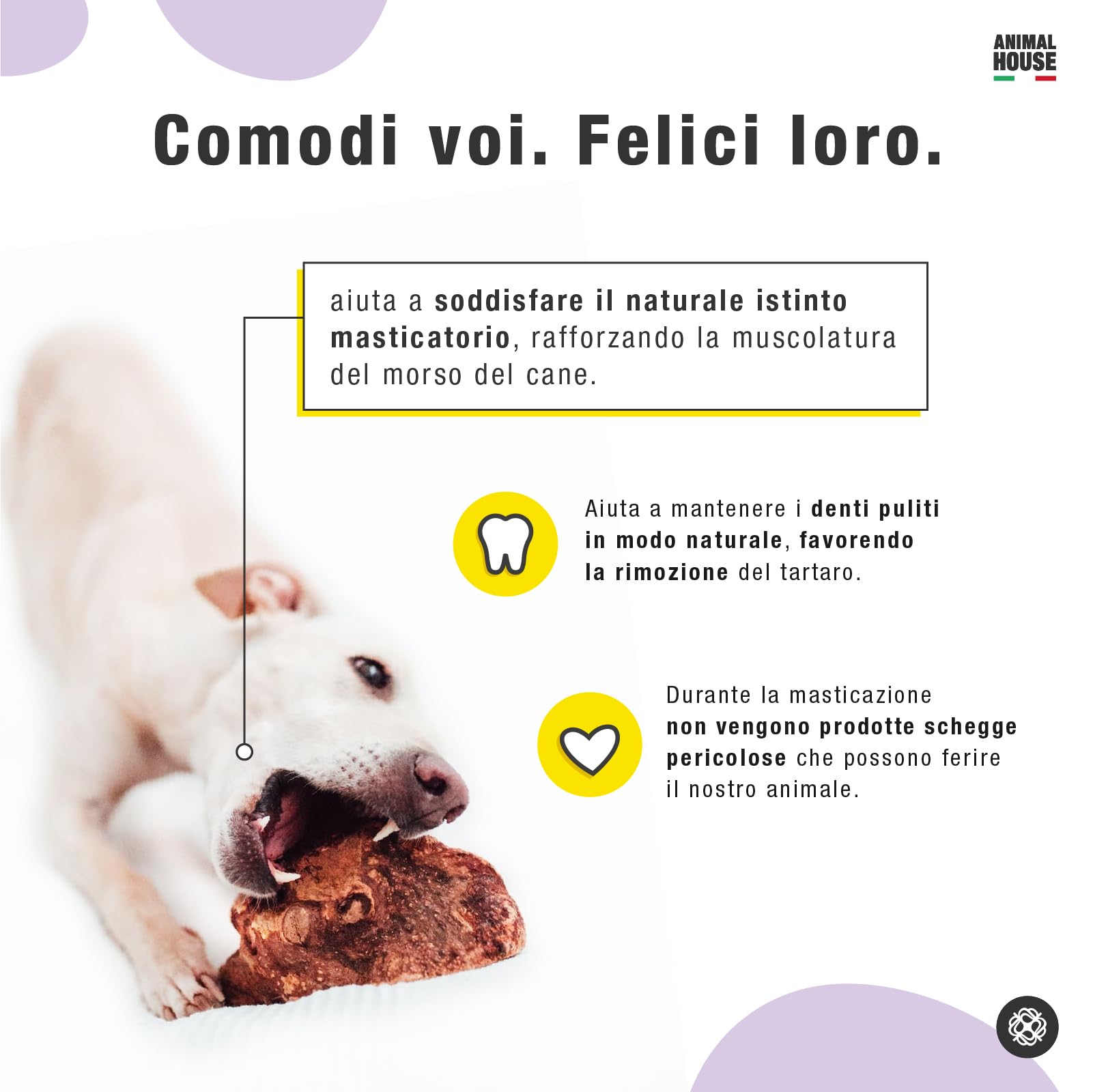 Animal House - Korzeń wrzosu dla psów - Naturalne żucie - Poprawia higienę jamy ustnej - Antystresowy dla psów - Odporne i trwałe (XS)