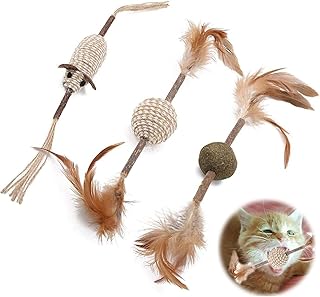 Amazon Fr Jouets A L Herbe A Chat