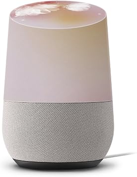 Google Home                           001974