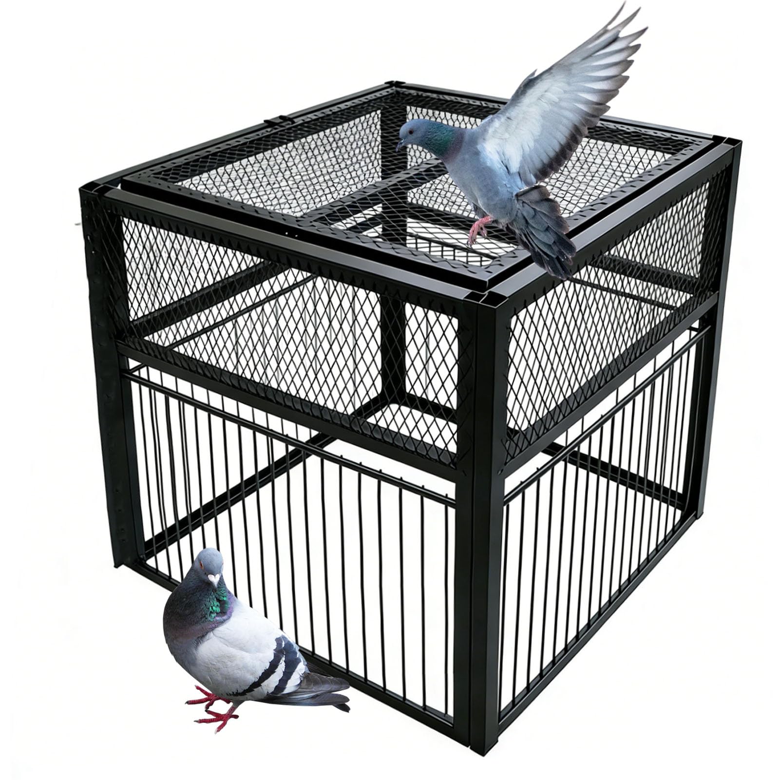 Piège à Pigeon, Pigeon Trap avec entrée Unique Porte en U, Cage à Oiseaux en métal pour Extérieur Jardin (Size:56x52x40cm,Color:Noir)