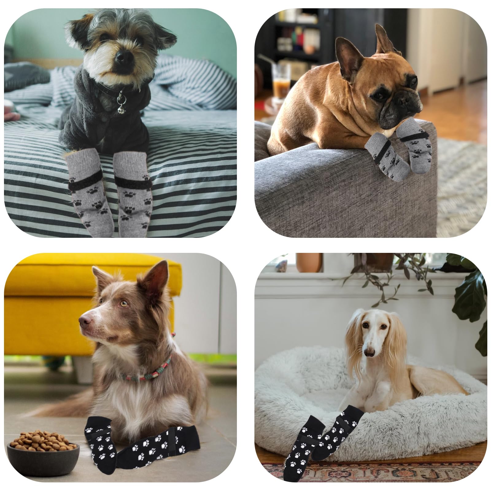 Calzini Antiscivolo Per Cani - 8 Pezzi Con Velcro Regolabile Per Pavimenti Di Legno - Foto 2