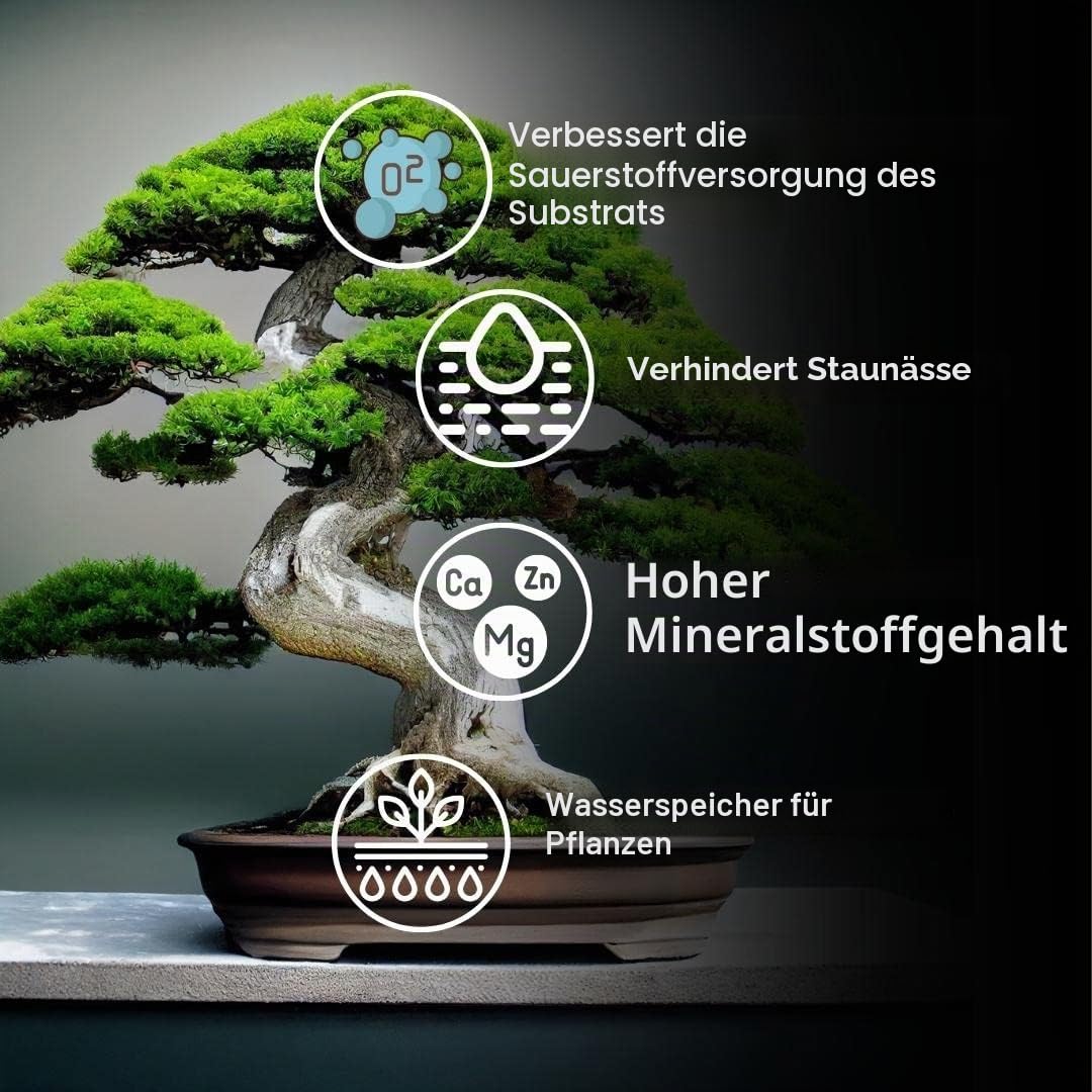 ZOMA Akadama für professionelle Bonsai Körner 2-5 mm, Japanischer Ton für Bonsai und Sukkulenten harte Sorten, Vulkan-Substrat, Drainage und Anti-Rückstauung - 1,5 L